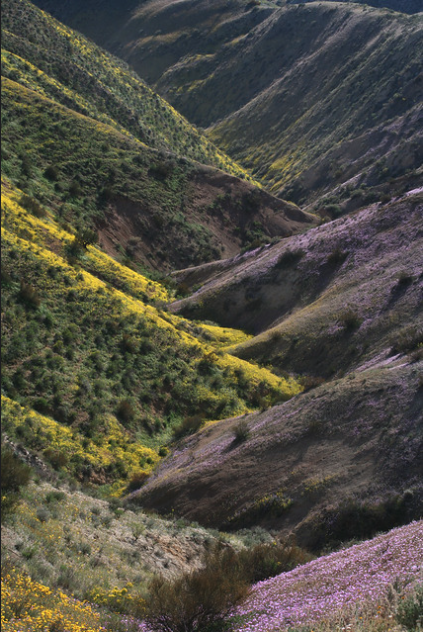 Public comment window opens Monday for plans to expand oil and gas development in previously protected lands across Central California